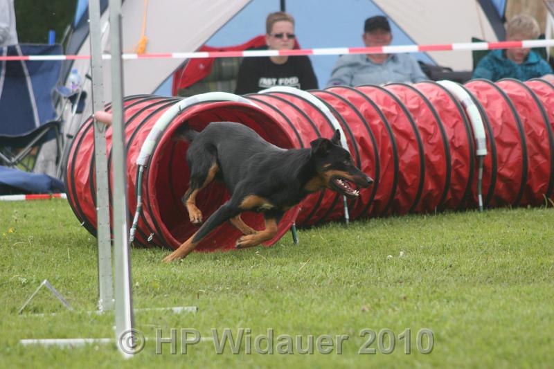Haag2010 151.jpg